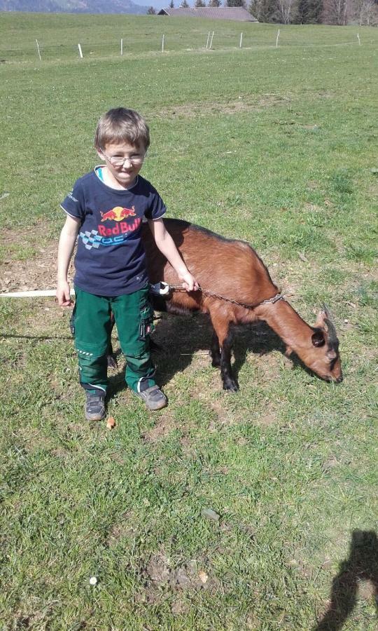 Bauernhof Feurstein Daire Andelsbuch Dış mekan fotoğraf